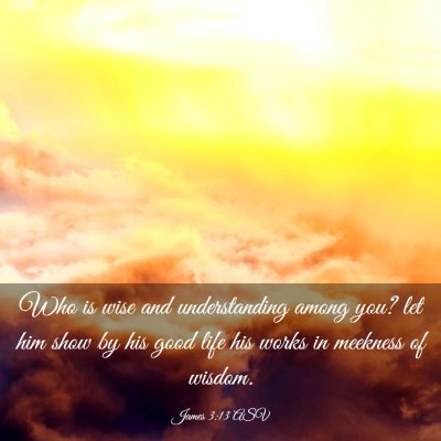 Picture 03 - James 3:13 ASV - Who is wise and understanding among you? let him - Bible Verse Picture