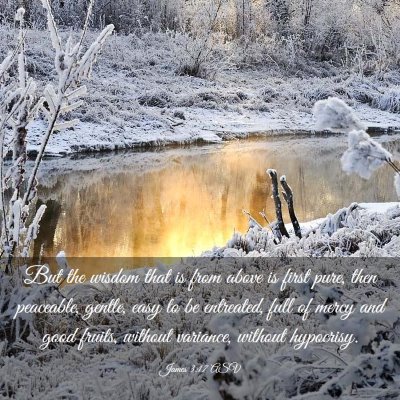 Picture 03 - James 3:17 ASV - But the wisdom that is from above is first pure, - Bible Verse Picture
