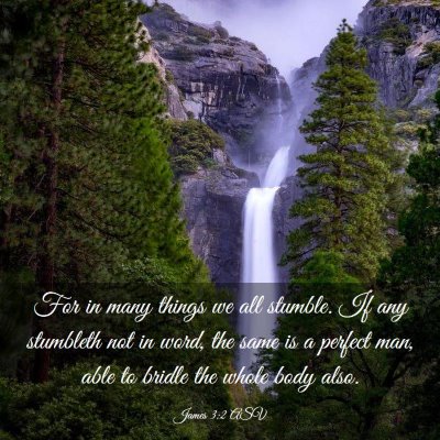Picture 03 - James 3:2 ASV - For in many things we all stumble. If any - Bible Verse Picture