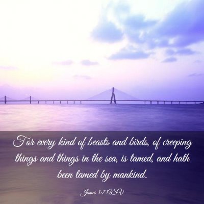 Picture 03 - James 3:7 ASV - For every kind of beasts and birds, of creeping - Bible Verse Picture