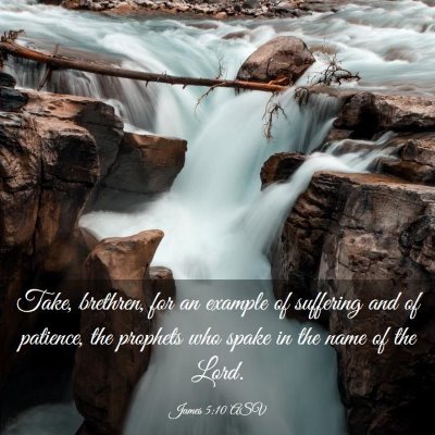Picture 03 - James 5:10 ASV - Take, brethren, for an example of suffering and - Bible Verse Picture