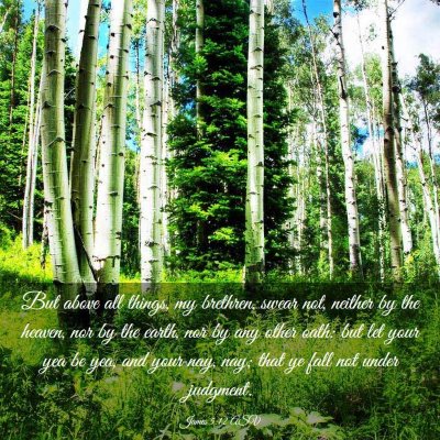 Picture 03 - James 5:12 ASV - But above all things, my brethren, swear not, - Bible Verse Picture