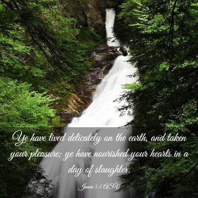 Picture 03 - James 5:5 ASV - Ye have lived delicately on the earth, and taken - Bible Verse Picture