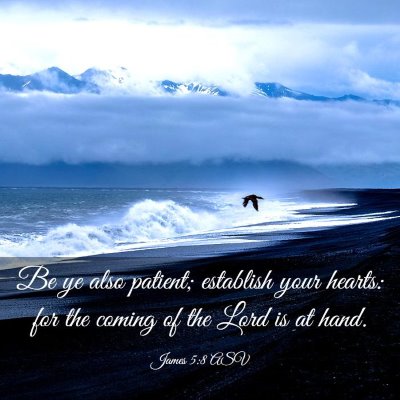 Picture 03 - James 5:8 ASV - Be ye also patient; establish your hearts: for - Bible Verse Picture