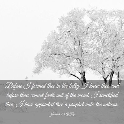 Picture 03 - Jeremiah 1:5 ASV - Before I formed thee in the belly I knew thee, - Bible Verse Picture