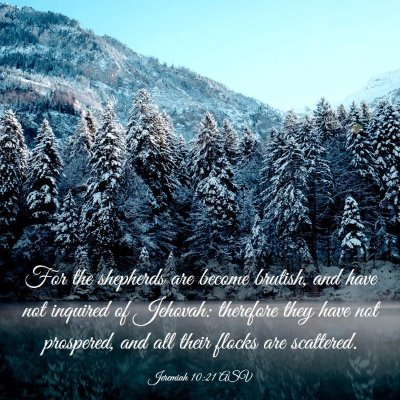 Picture 03 - Jeremiah 10:21 ASV - For the shepherds are become brutish, and have - Bible Verse Picture