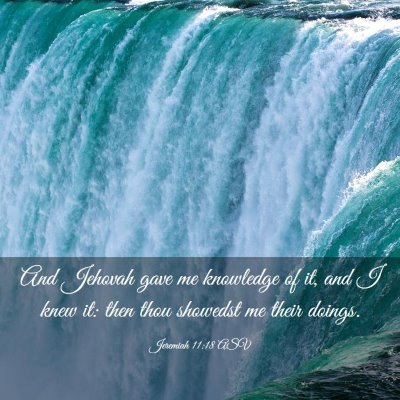 Picture 03 - Jeremiah 11:18 ASV - And Jehovah gave me knowledge of it, and I knew - Bible Verse Picture