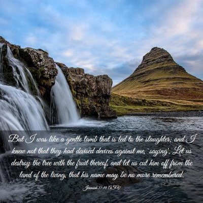 Picture 03 - Jeremiah 11:19 ASV - But I was like a gentle lamb that is led to the - Bible Verse Picture