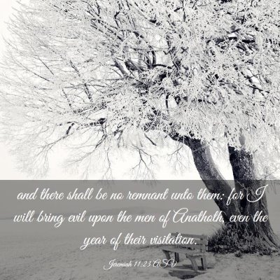 Picture 03 - Jeremiah 11:23 ASV - and there shall be no remnant unto them: for I - Bible Verse Picture