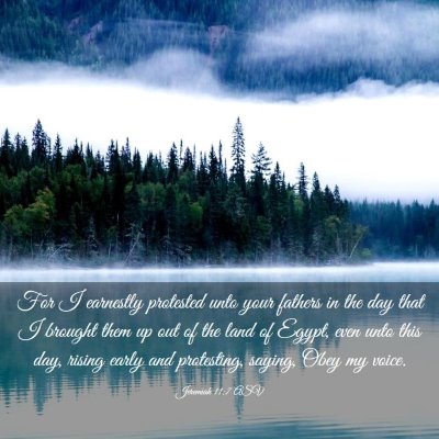 Picture 03 - Jeremiah 11:7 ASV - For I earnestly protested unto your fathers in - Bible Verse Picture