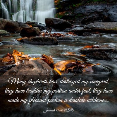 Picture 03 - Jeremiah 12:10 ASV - Many shepherds have destroyed my vineyard, they - Bible Verse Picture