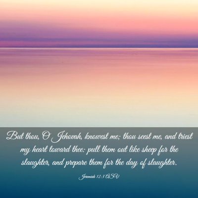 Picture 03 - Jeremiah 12:3 ASV - But thou, O Jehovah, knowest me; thou seest me, - Bible Verse Picture