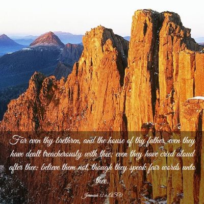 Picture 03 - Jeremiah 12:6 ASV - For even thy brethren, and the house of thy - Bible Verse Picture