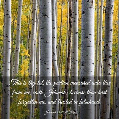 Picture 03 - Jeremiah 13:25 ASV - This is thy lot, the portion measured unto thee - Bible Verse Picture