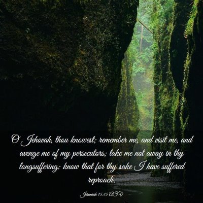 Picture 03 - Jeremiah 15:15 ASV - O Jehovah, thou knowest; remember me, and visit - Bible Verse Picture