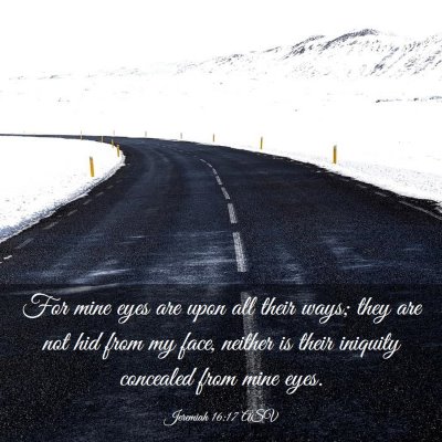 Picture 03 - Jeremiah 16:17 ASV - For mine eyes are upon all their ways; they are - Bible Verse Picture