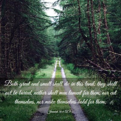 Picture 03 - Jeremiah 16:6 ASV - Both great and small shall die in this land; they - Bible Verse Picture
