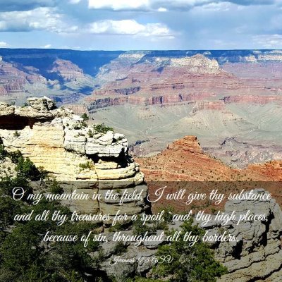 Picture 03 - Jeremiah 17:3 ASV - O my mountain in the field, I will give thy - Bible Verse Picture