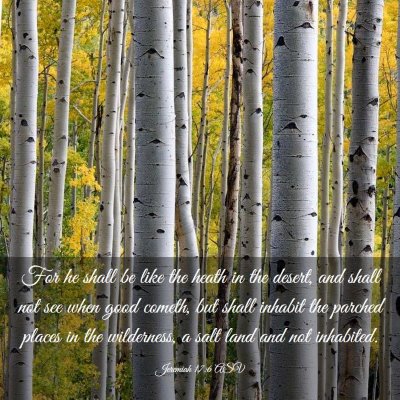 Picture 03 - Jeremiah 17:6 ASV - For he shall be like the heath in the desert, and - Bible Verse Picture