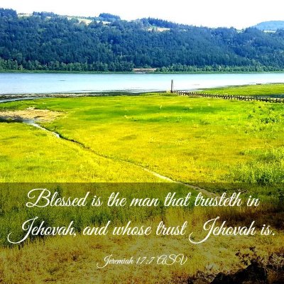 Picture 03 - Jeremiah 17:7 ASV - Blessed is the man that trusteth in Jehovah, and - Bible Verse Picture