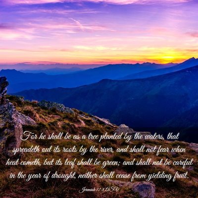 Picture 03 - Jeremiah 17:8 ASV - For he shall be as a tree planted by the waters, - Bible Verse Picture