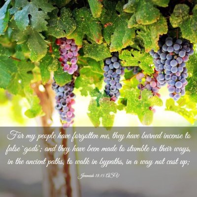 Picture 03 - Jeremiah 18:15 ASV - For my people have forgotten me, they have burned - Bible Verse Picture