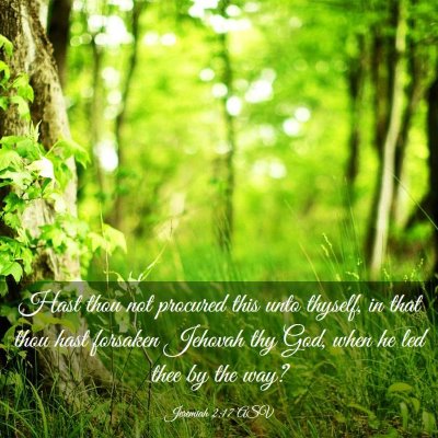 Picture 03 - Jeremiah 2:17 ASV - Hast thou not procured this unto thyself, in that - Bible Verse Picture