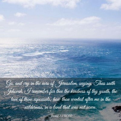 Picture 03 - Jeremiah 2:2 ASV - Go, and cry in the ears of Jerusalem, saying, - Bible Verse Picture