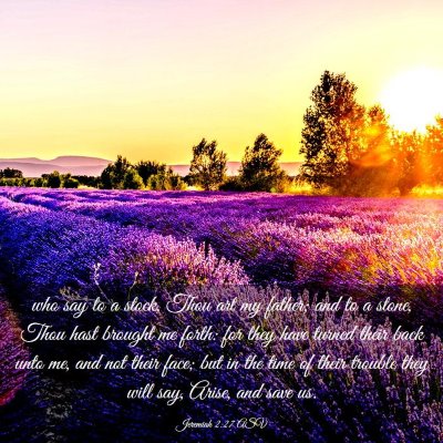 Picture 03 - Jeremiah 2:27 ASV - who say to a stock, Thou art my father; and to a - Bible Verse Picture