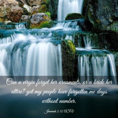 Picture 03 - Jeremiah 2:32 ASV - Can a virgin forget her ornaments, or a bride her - Bible Verse Picture