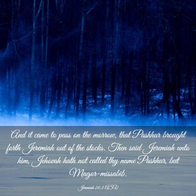 Picture 03 - Jeremiah 20:3 ASV - And it came to pass on the morrow, that Pashhur - Bible Verse Picture