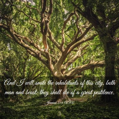 Picture 03 - Jeremiah 21:6 ASV - And I will smite the inhabitants of this city, - Bible Verse Picture