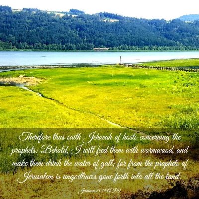 Picture 03 - Jeremiah 23:15 ASV - Therefore thus saith Jehovah of hosts concerning - Bible Verse Picture