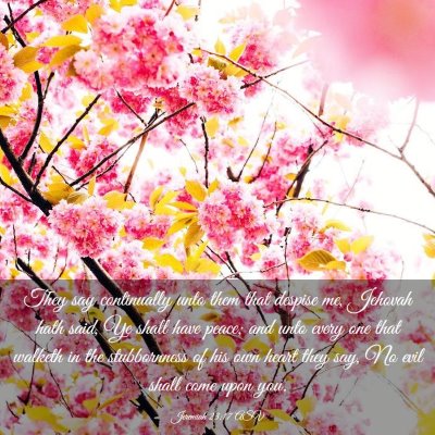 Picture 03 - Jeremiah 23:17 ASV - They say continually unto them that despise me, - Bible Verse Picture