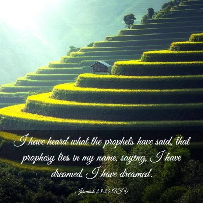 Picture 03 - Jeremiah 23:25 ASV - I have heard what the prophets have said, that - Bible Verse Picture