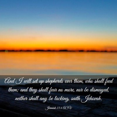 Picture 03 - Jeremiah 23:4 ASV - And I will set up shepherds over them, who shall - Bible Verse Picture