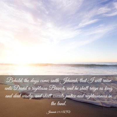 Picture 03 - Jeremiah 23:5 ASV - Behold, the days come, saith Jehovah, that I will - Bible Verse Picture