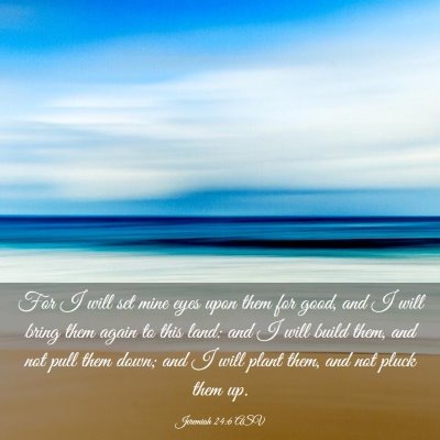 Picture 03 - Jeremiah 24:6 ASV - For I will set mine eyes upon them for good, and - Bible Verse Picture