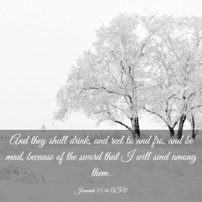 Picture 03 - Jeremiah 25:16 ASV - And they shall drink, and reel to and fro, and be - Bible Verse Picture