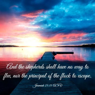 Picture 03 - Jeremiah 25:35 ASV - And the shepherds shall have no way to flee, nor - Bible Verse Picture