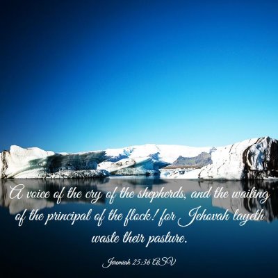 Picture 03 - Jeremiah 25:36 ASV - A voice of the cry of the shepherds, and the - Bible Verse Picture