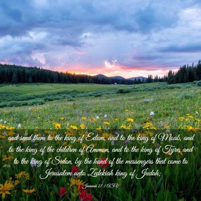 Picture 03 - Jeremiah 27:3 ASV - and send them to the king of Edom, and to the - Bible Verse Picture