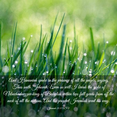 Picture 03 - Jeremiah 28:11 ASV - And Hananiah spake in the presence of all the - Bible Verse Picture
