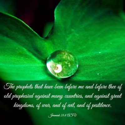 Picture 03 - Jeremiah 28:8 ASV - The prophets that have been before me and before - Bible Verse Picture