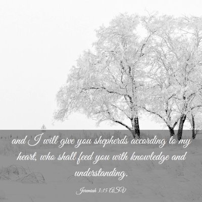 Picture 03 - Jeremiah 3:15 ASV - and I will give you shepherds according to my - Bible Verse Picture