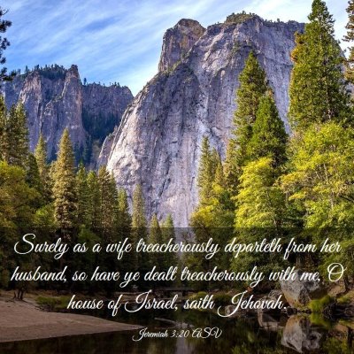 Picture 03 - Jeremiah 3:20 ASV - Surely as a wife treacherously departeth from her - Bible Verse Picture