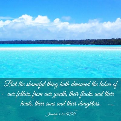 Picture 03 - Jeremiah 3:24 ASV - But the shameful thing hath devoured the labor of - Bible Verse Picture
