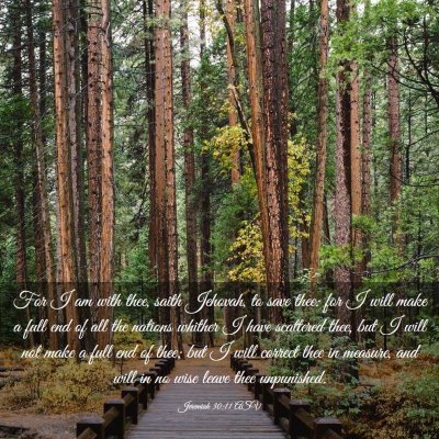 Picture 03 - Jeremiah 30:11 ASV - For I am with thee, saith Jehovah, to save thee: - Bible Verse Picture