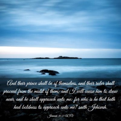 Picture 03 - Jeremiah 30:21 ASV - And their prince shall be of themselves, and - Bible Verse Picture