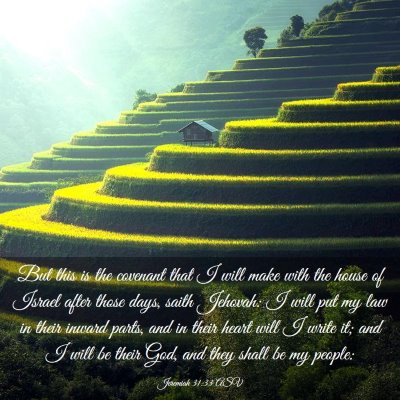 Picture 03 - Jeremiah 31:33 ASV - But this is the covenant that I will make with - Bible Verse Picture
